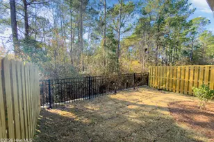 4614 Sweet Jasmine Run, Wilmington, NC 28412 - Photo 37