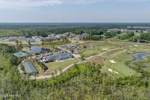 3113 Lochgreen Cir, Leland, NC 28451 - Photo 57