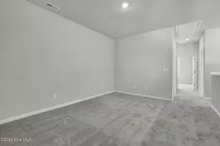 3052 Coastal Dream Wy, Leland, NC 28451 - Photo 19