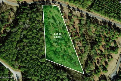 Lot 33 Bailey Pointe Drive, Belhaven, NC 27810 - Photo 17