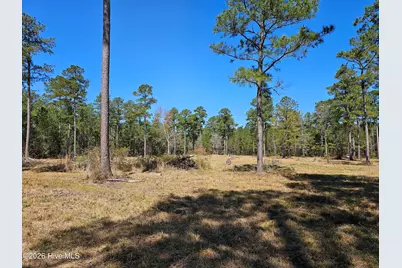 Lot 33 Bailey Pointe Drive, Belhaven, NC 27810 - Photo 11