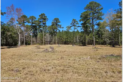 Lot 33 Bailey Pointe Drive, Belhaven, NC 27810 - Photo 9