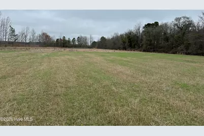 101 Big Biddy Lane, Clio, SC 29525 - Photo 13