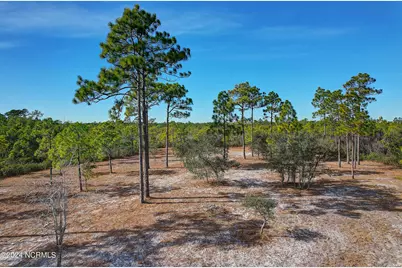 2696 Yellow Poplar Path, Southport, NC 28461 - Photo 15