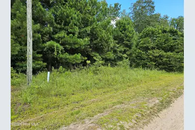 8 Powell Lane, Loris, SC 29569 - Photo 3