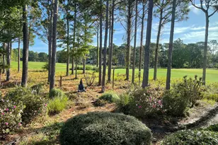 4567 Regency Crossing, Southport, NC 28461 - Photo 67