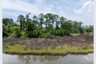 331 Chadwick Shores Drive, Sneads Ferry, NC 28460 - Photo 5