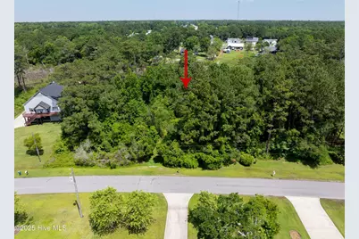 331 Chadwick Shores Drive, Sneads Ferry, NC 28460 - Photo 15