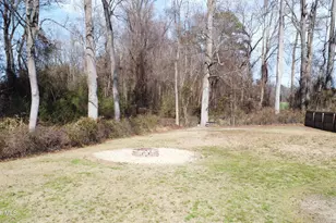 109 Abbington Pl, Pikeville, NC 27863 - Photo 65