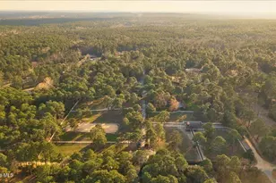 230 Old Dewberry Ln, Southern Pines, NC 28387 - Photo 53