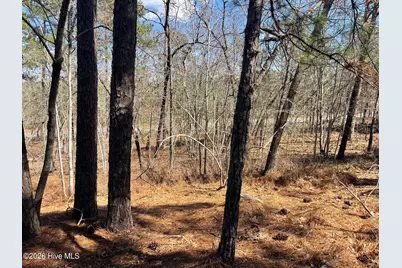 445 Longleaf Drive, West End, NC 27376 - Photo 3