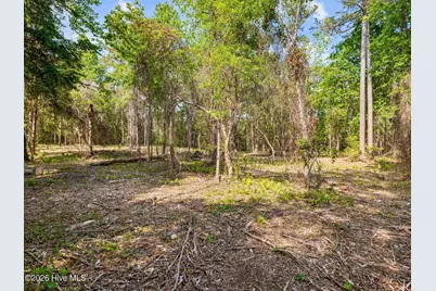 0 Bridge Side Drive E, Jacksonville, NC 28546 - Photo 7