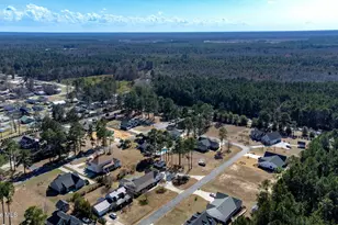76 Wrexham Pl, Elizabethtown, NC 28337 - Photo 69
