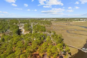 689 Lightwood Ln SW, Shallotte, NC 28470 - Photo 49