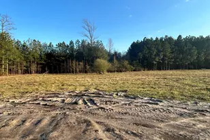 2889 Catherine Lake Rd, Richlands, NC 28574 - Photo 31