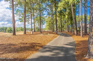 117 W Chelsea Ct, Southern Pines, NC 28387 - Photo 47