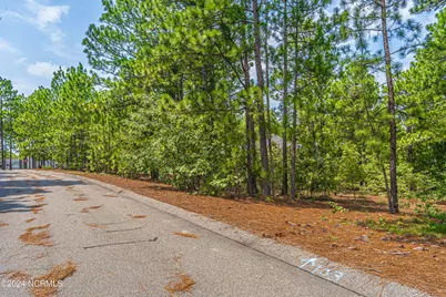 101 Andrews, Seven Lakes, NC 27376 - Photo 7