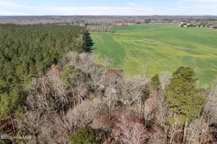 3015 Staley Snow Camp Rd, Siler City, NC 27344 - Photo 29