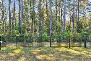 9185 SW Little Osprey Dr, Calabash, NC 28467 - Photo 41