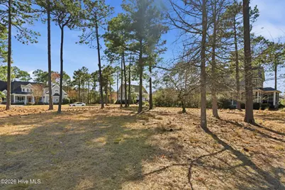 433 Laurel Valley Drive, Shallotte, NC 28470 - Photo 5