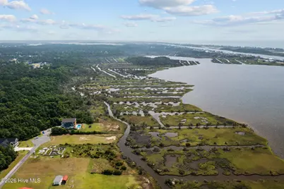 110 Sea Level Lane, Sneads Ferry, NC 28460 - Photo 3