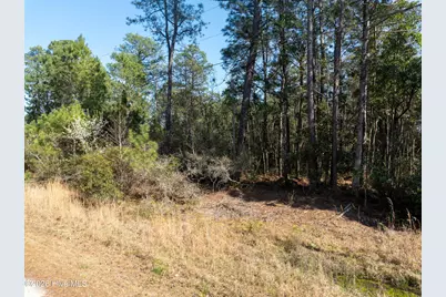Lot 14 Brickyard Road, Hampstead, NC 28443 - Photo 15