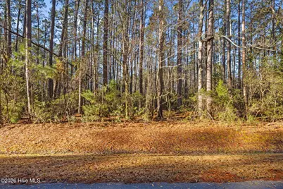 122 Headwaters Drive, Oriental, NC 28571 - Photo 7