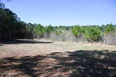 908 W 6th Street, Tabor City, NC 28463 - Photo 33