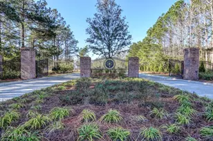 3612 Excelsior Ln, Castle Hayne, NC 28429 - Photo 33