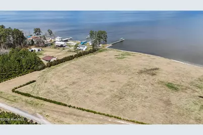 220 Pungo Shores Drive, Belhaven, NC 27810 - Photo 7