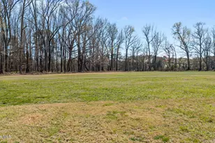 145 Pumpernickel Pl, Washington, NC 27889 - Photo 39