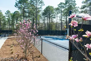 3410 Oyster Tabby Dr, Wilmington, NC 28412 - Photo 99