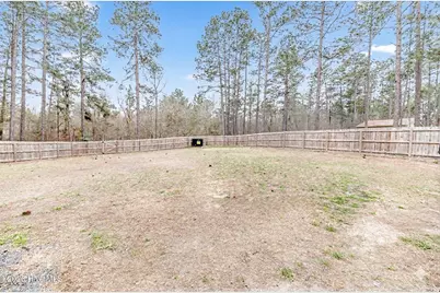 125 Love Grove Church Road, West End, NC 27376 - Photo 23