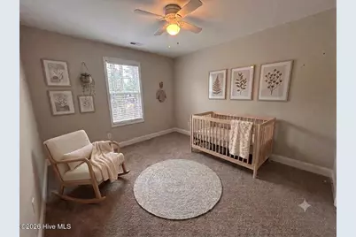 125 Love Grove Church Road, West End, NC 27376 - Photo 19