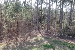 207 Collingwood Dr NW, Pikeville, NC 27863 - Photo 53