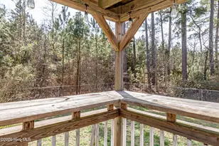 207 Collingwood Dr NW, Pikeville, NC 27863 - Photo 49