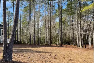 526 Lindgrove Pl SW, Ocean Isle Beach, NC 28469 - Photo 1