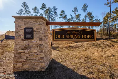 Lot 29 River Meadow Court, Spring Hope, NC 27882 - Photo 1