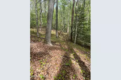 Lot 21 Equestrian Lane, Carthage, NC 28327 - Photo 13