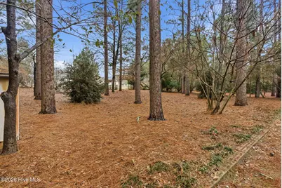 5 Birdie Drive, Whispering Pines, NC 28327 - Photo 51
