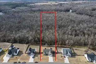 238 Bellows Ln, Rocky Point, NC 28457 - Photo 79