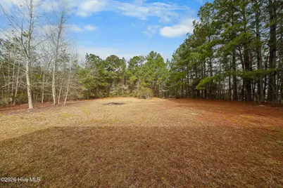 1207 Old Ocean Highway, Bolivia, NC 28422 - Photo 43