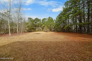 1207 Old Ocean Hwy, Bolivia, NC 28422 - Photo 43