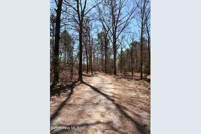 880 Doubs Chapel Road, West End, NC 27376 - Photo 7