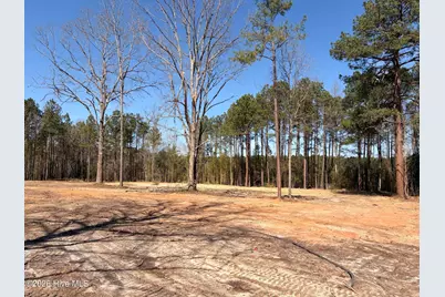880 Doubs Chapel Road, West End, NC 27376 - Photo 3
