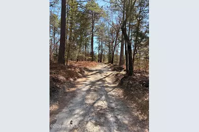 880 Doubs Chapel Road, West End, NC 27376 - Photo 5
