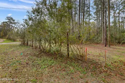 5535 Fulton Avenue, Castle Hayne, NC 28429 - Photo 5