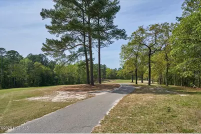 451 Thimbleberry Drive, Vass, NC 28394 - Photo 67