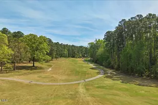451 Thimbleberry Dr, Vass, NC 28394 - Photo 77