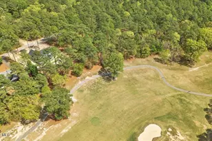 451 Thimbleberry Dr, Vass, NC 28394 - Photo 79